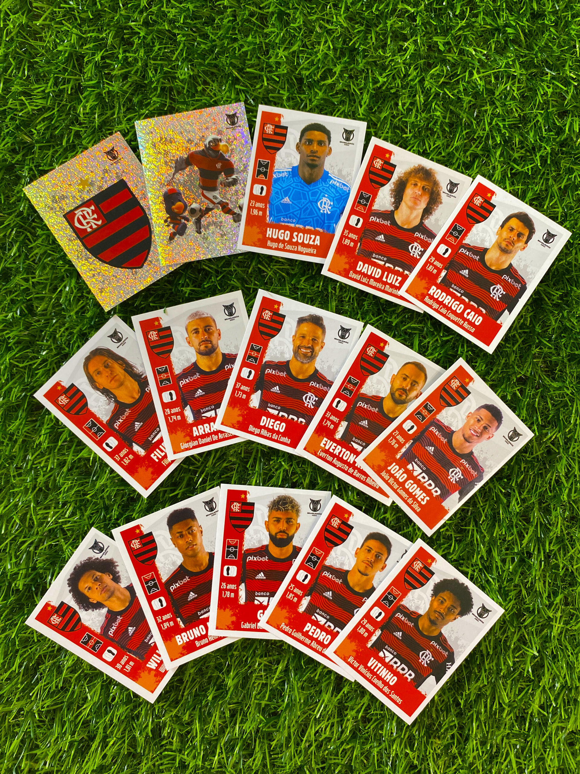 FLAMENGO – Campeonato Brasileiro 2022 (15 FIGURINHAS) – Vício Mania  Figurinhas