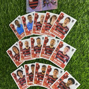 FLAMENGO  - Campeonato Brasileiro 2022 (COMPLETO - 17 figurinhas)