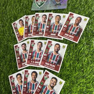 FLUMINENSE - Campeonato Brasileiro 2022 - (13 de 17 figurinhas)